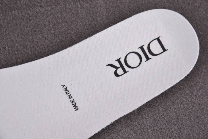 D10R B23 Oblique High Top Sneaker