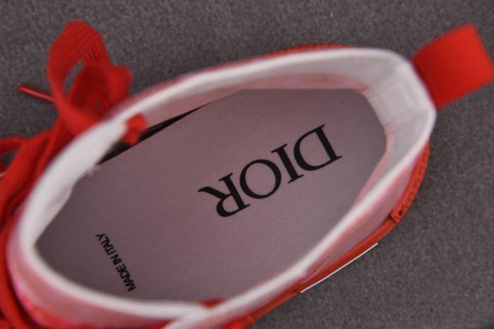 D10R B23 Oblique High Top Sneaker