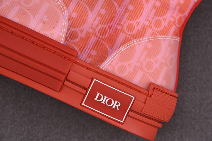 D10R B23 Oblique High Top Sneaker