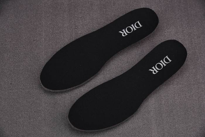 D10R B28 Oblique LOW Top Sneaker