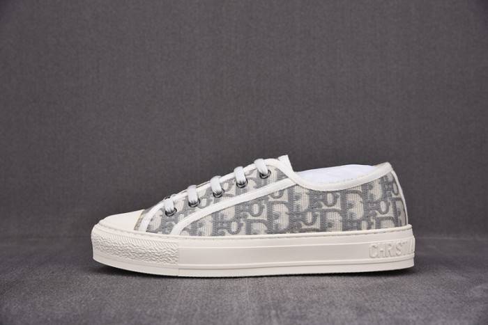 D10R B23 Oblique LOW Top Sneaker