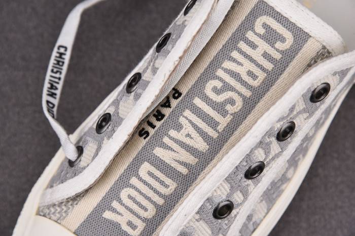 D10R B23 Oblique LOW Top Sneaker