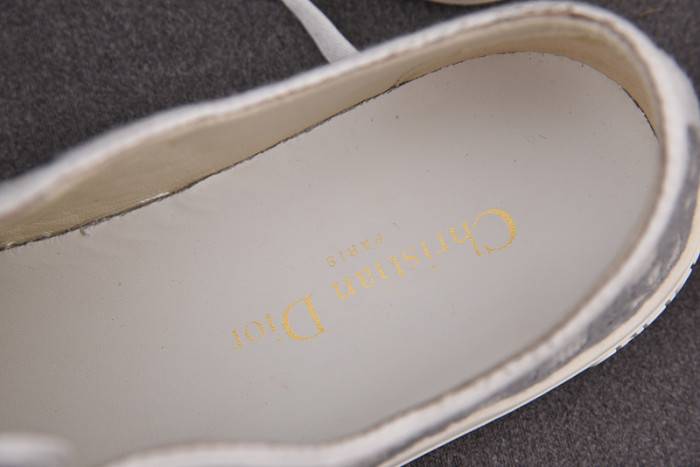 D10R B23 Oblique LOW Top Sneaker