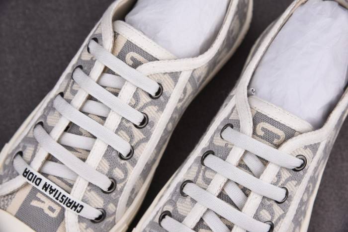 D10R B23 Oblique LOW Top Sneaker