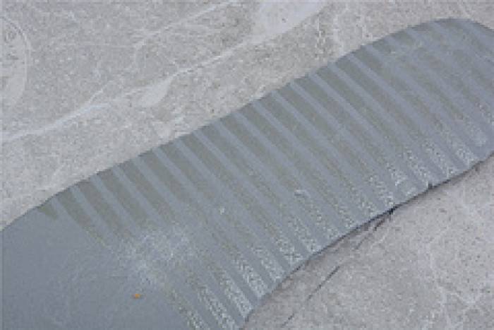 00F X DUNK LOW ‘LOT 27 OF 50’ – NIKE – DM1602-120