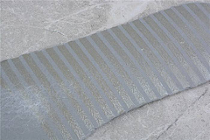 00F x Dunk Low ‘Lot 19 of 50’ – Nike – DJ0950-119