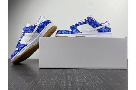 Nike Dunk Low Retro Sp CT5053-061-1