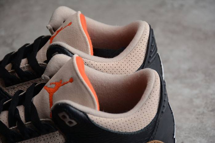 Jordan 3 Retro Desert Elephant CT8532-008