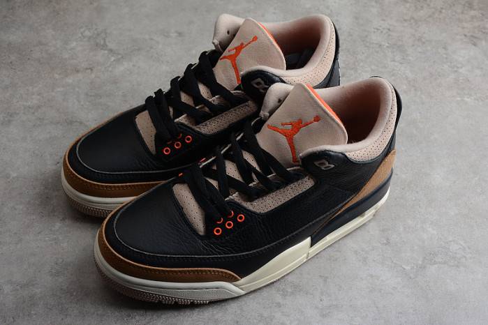 Jordan 3 Retro Desert Elephant CT8532-008