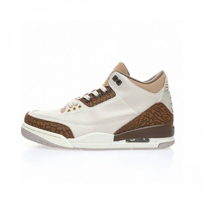Jordan 3 Retro Palomino CT8532-102