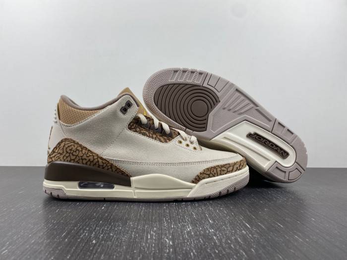 Jordan 3 Retro Palomino CT8532-102