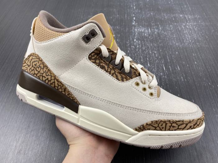 Jordan 3 Retro Palomino CT8532-102