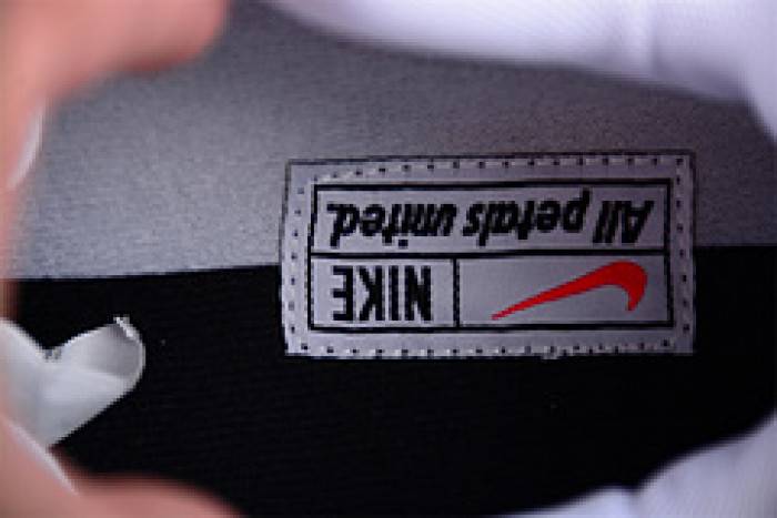 Nike Air Max 1 FQ0256-131