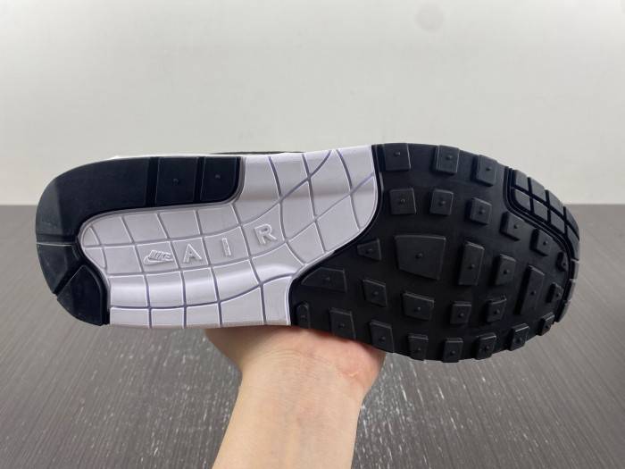 Nike Air Max 1 Golf “Panda”DV1403-110