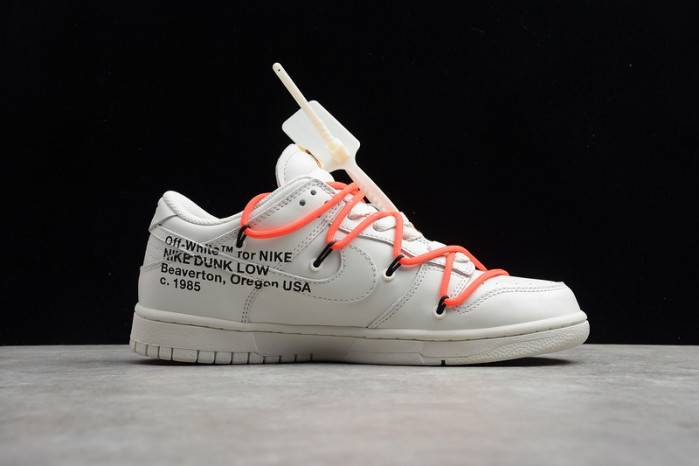 Nike Dunk Low 00F WHITE CT0856- 900