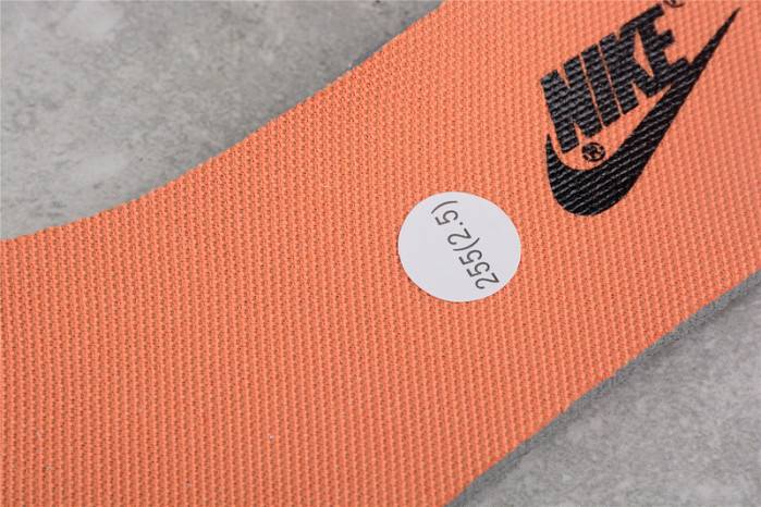 Nike Dunk Low Dark Driftwood DO6712-200