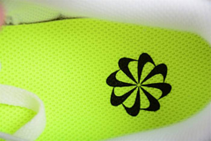 Nike Dunk Low Next Nature Beige Sail DD1873-200