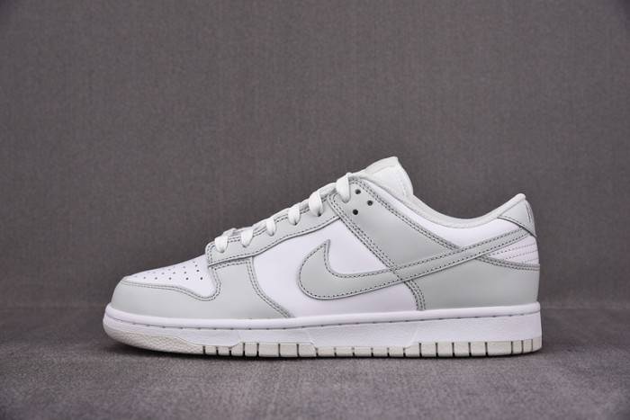 Nike Dunk Low Photon Dust (W) – DD1503-103