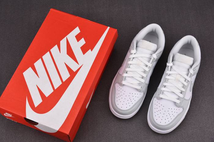 Nike Dunk Low Photon Dust (W) – DD1503-103