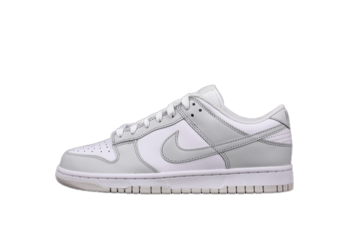 Nike Dunk Low Photon Dust (W) – DD1503-103