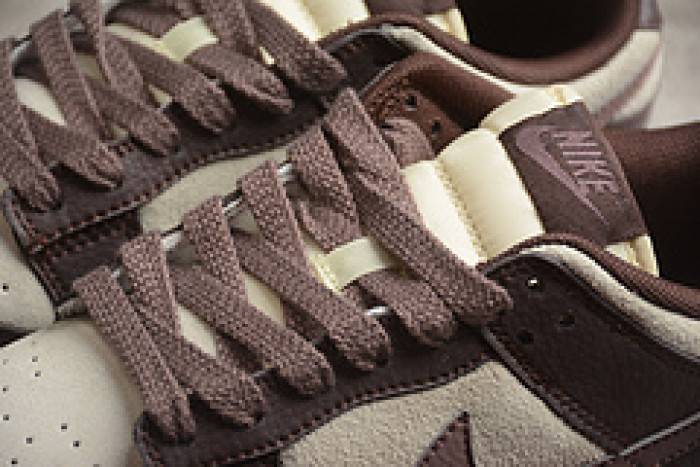 Nike Dunk Low Plum Eclipse FJ4734-100