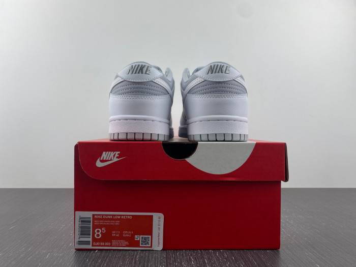 Nike Dunk Low Retro White Grey DJ6188-003