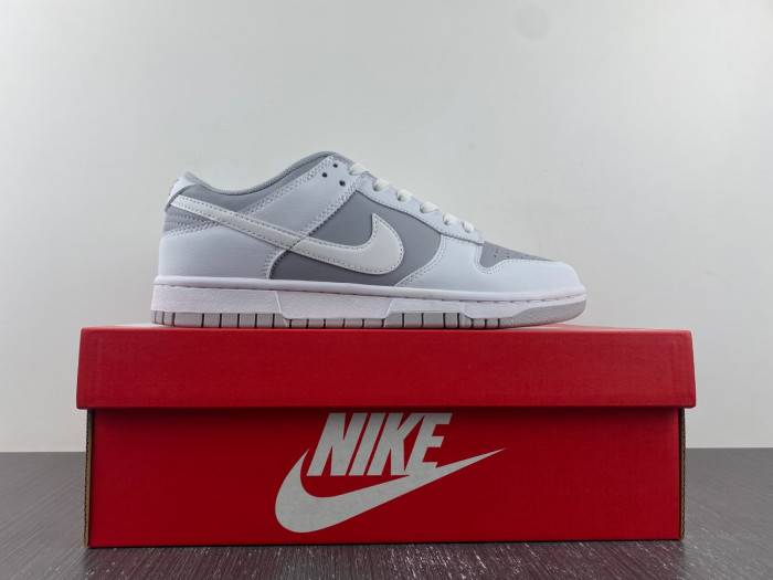 Nike Dunk Low Retro White Grey DJ6188-003