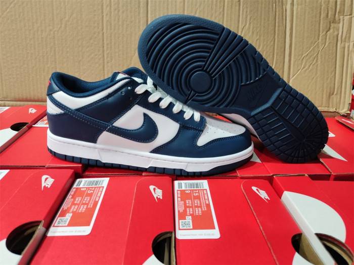 Nike Dunk Low Valerian Blue DD1391-400
