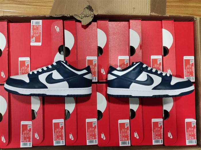 Nike Dunk Low Valerian Blue DD1391-400