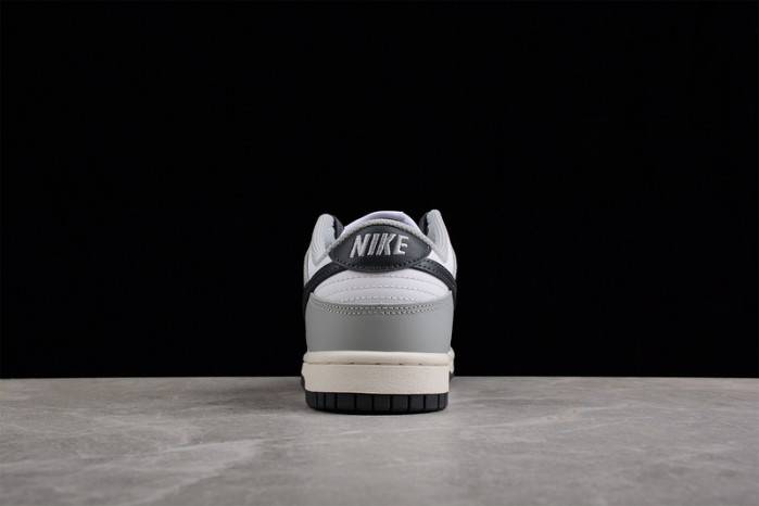 Nike Dunk Low Wmns Light Smoke Grey DD1503-117