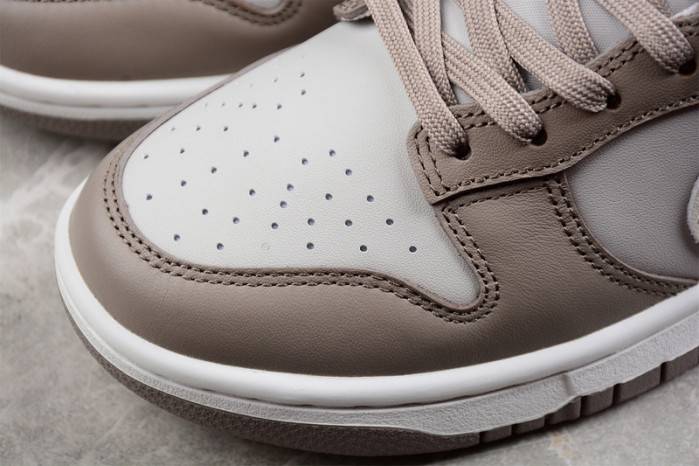 Nike Dunk Low Wmns Moon Fossil FD0792-001