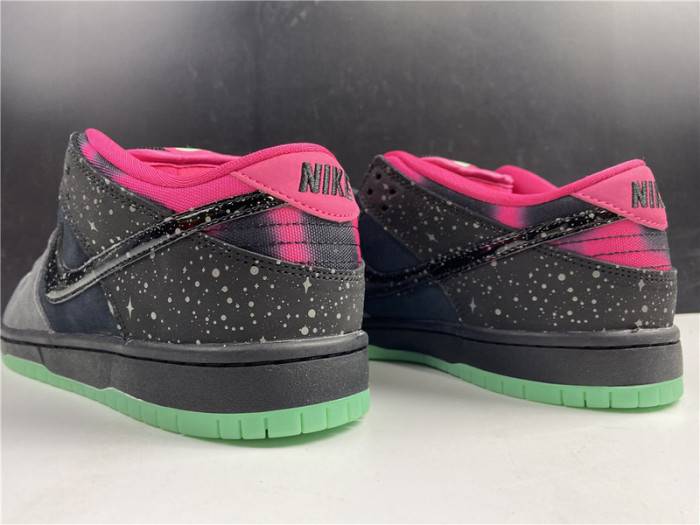 nike dunk sb low premier “N0*Hern lights”724183-063
