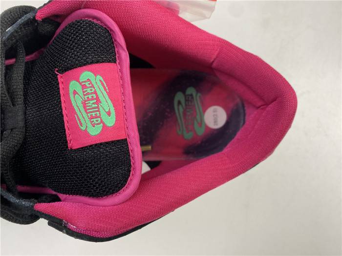 nike dunk sb low premier “N0*Hern lights”724183-063