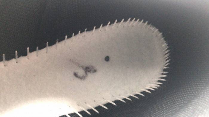 Nike Vaporwaffle Sacai Black GumDD1875-001