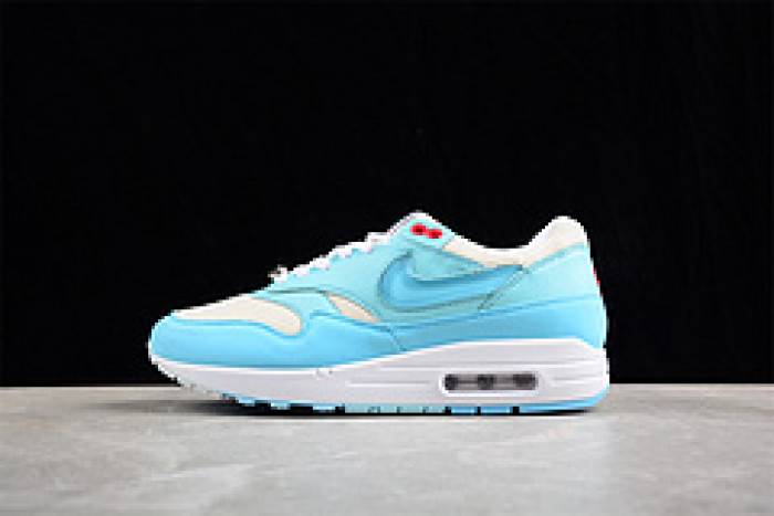 Nk Air Max 1 SPFD6955-400