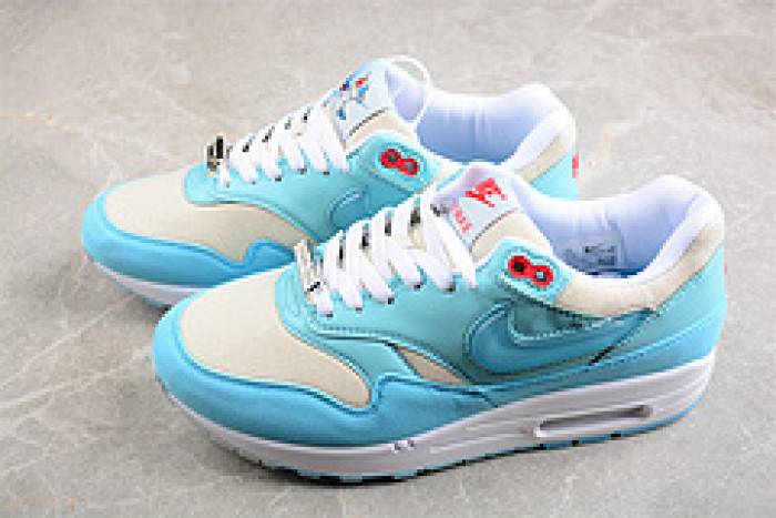 Nk Air Max 1 SPFD6955-400