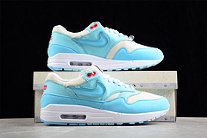 Nk Air Max 1 SPFD6955-400