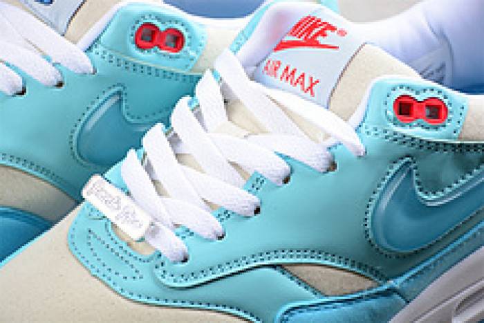 Nk Air Max 1 SPFD6955-400