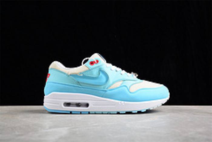 Nk Air Max 1 SPFD6955-400