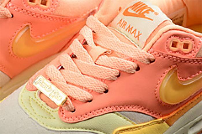 Nk Air Max 1 SPFD6955-800