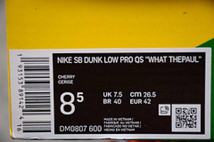 Nk SB Dunk Low Pro QS What Thepaul DM0807-600