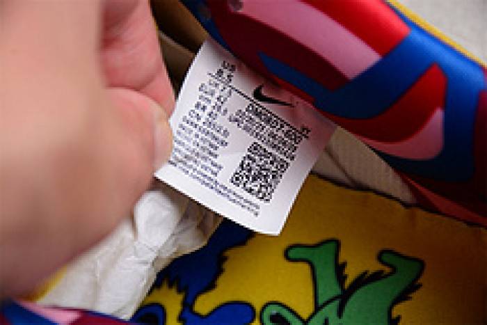 Nk SB Dunk Low Pro QS What Thepaul DM0807-600