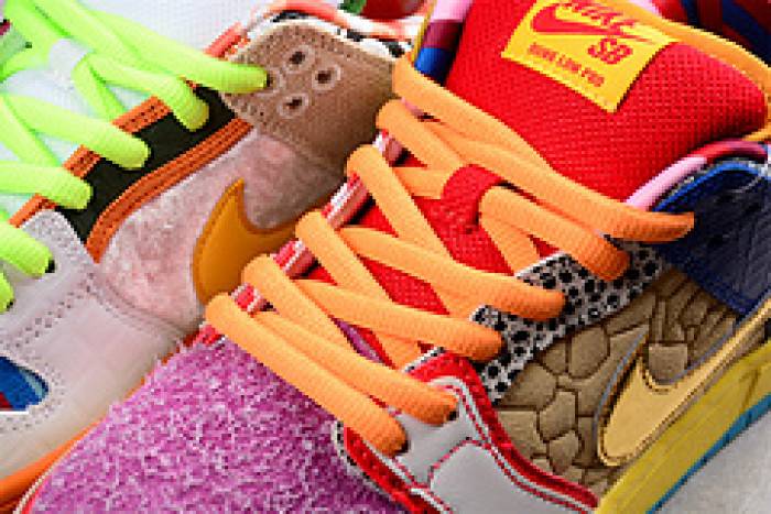 Nk SB Dunk Low Pro QS What Thepaul DM0807-600