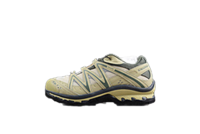Salomon XT-Quest ADV “Beige