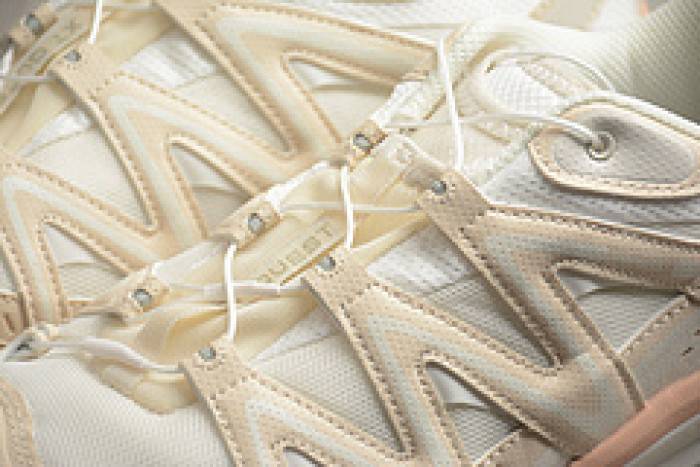 Salomon XA PRO 3D ADV